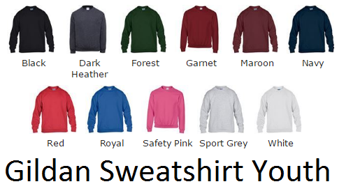 EREC Sweatshirt Youth Gildan